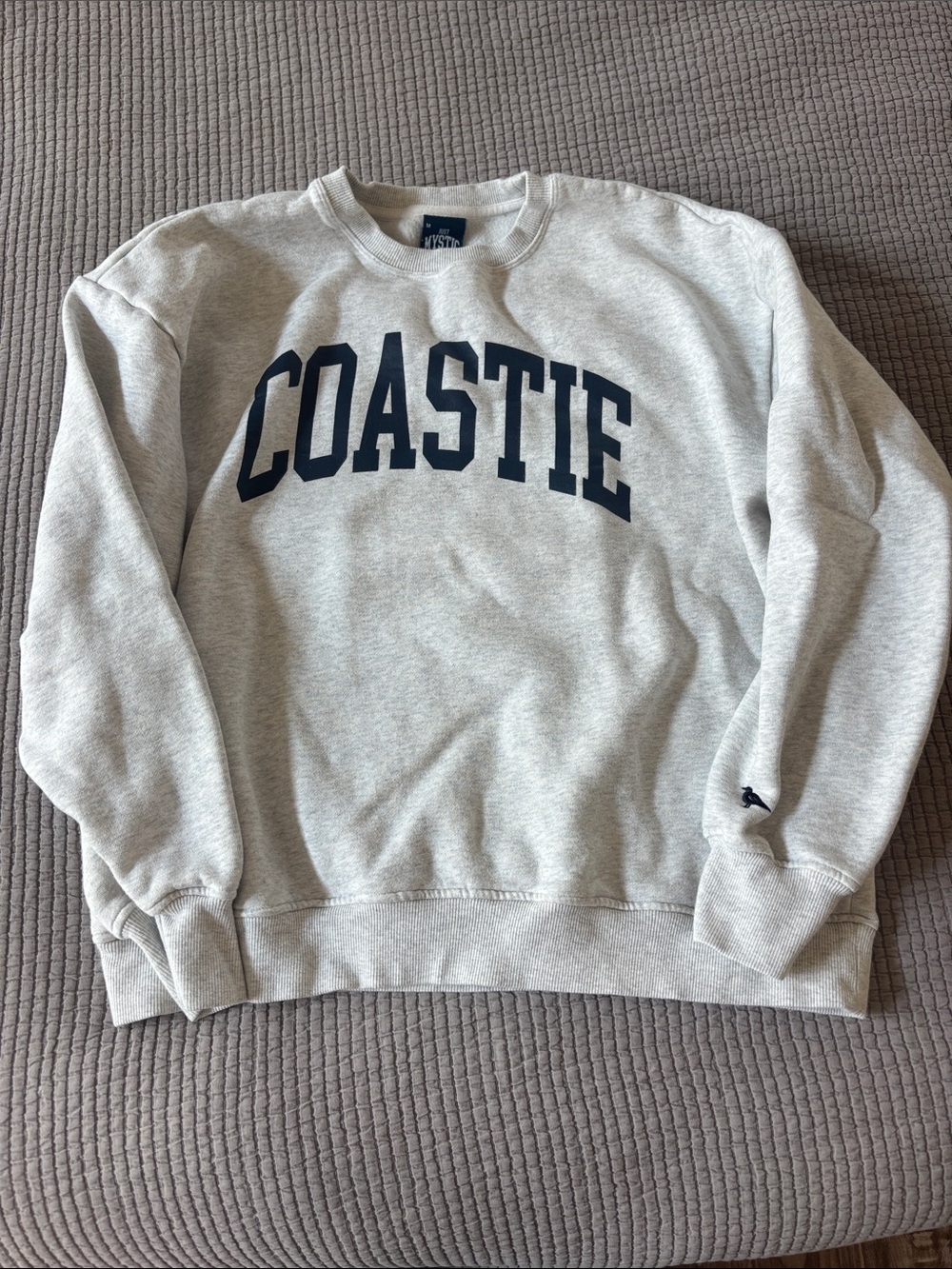 Light Gray 'COASTIE' Crewneck Sweatshirt - Classic Pullover - Unisex